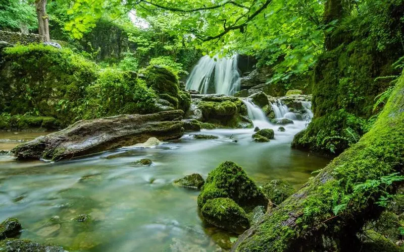 稳定性高效先进